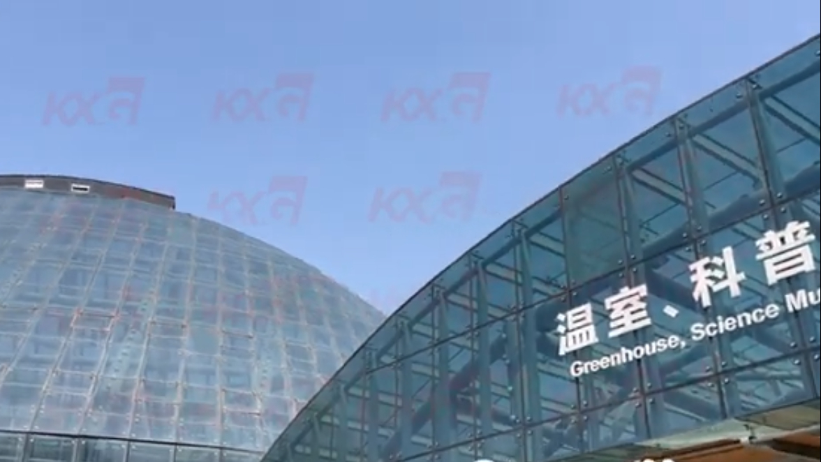 Kunxing Glass ---- Green House Glass