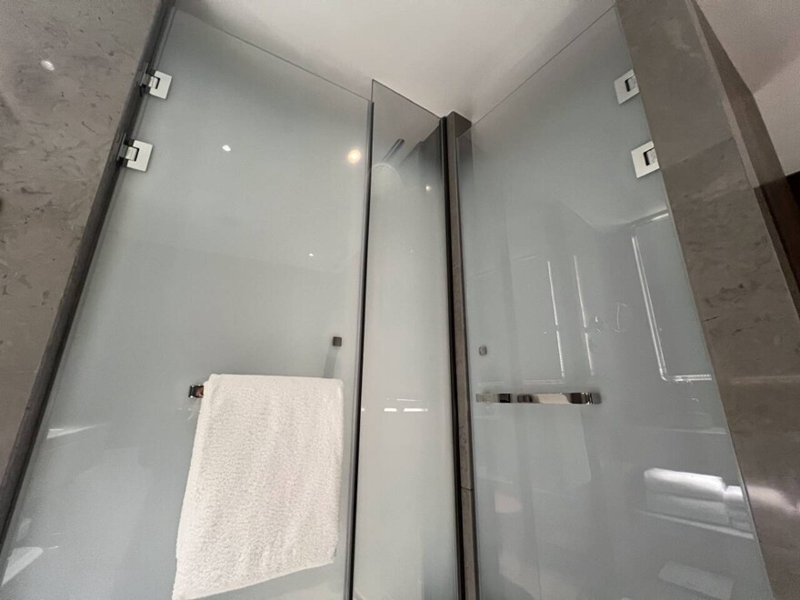 Bathroom shower doors glass